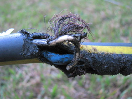 Damaged power cable.jpg