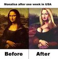 Monalisa after a week in the US.jpg