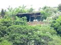 House on Isla Perico 2.jpg