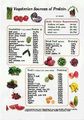 Vegetable protein sources.jpg
