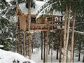Tree house in the snow.jpg