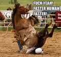 Faster human, faster!.png