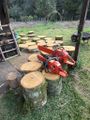 Fallen tree trunk cut for steps and seats.jpg