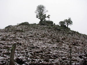 The hill in the snow 1.jpg